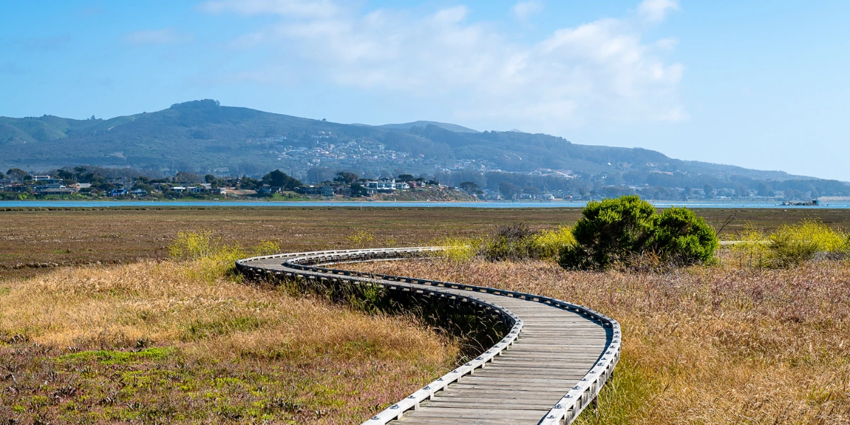 Morro Bay State Park