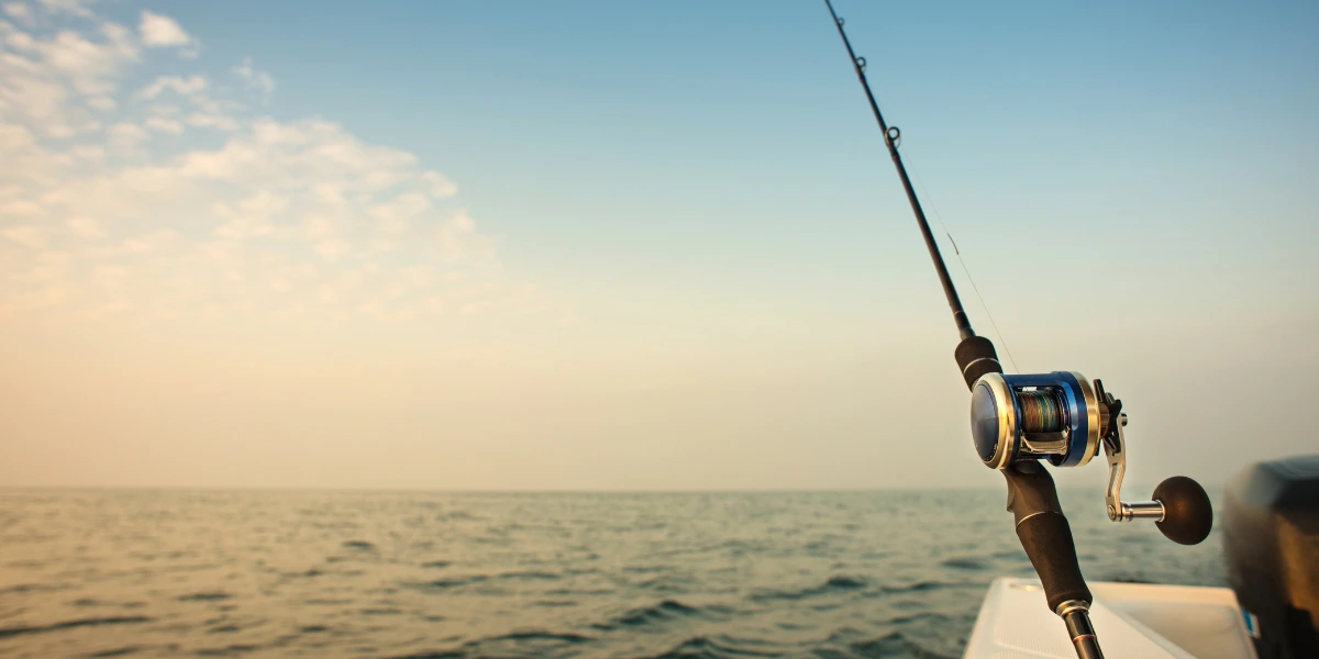 Morro Bay Fishing Season